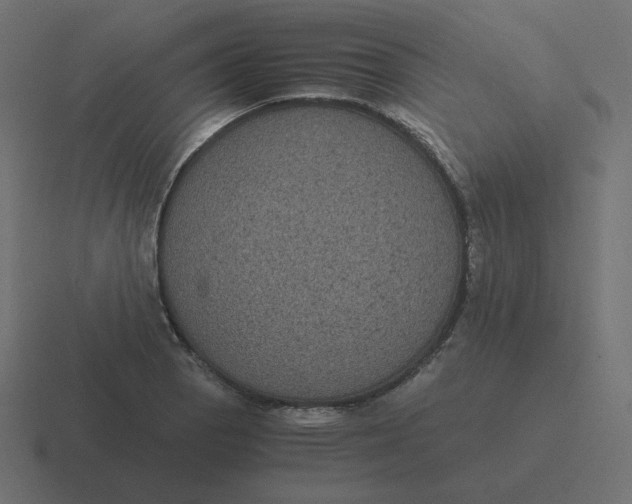 X0000116481129200912292041