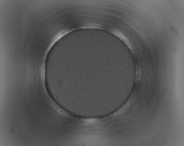 X0000116481130200912292041