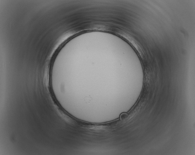 X0000116481131200912292041