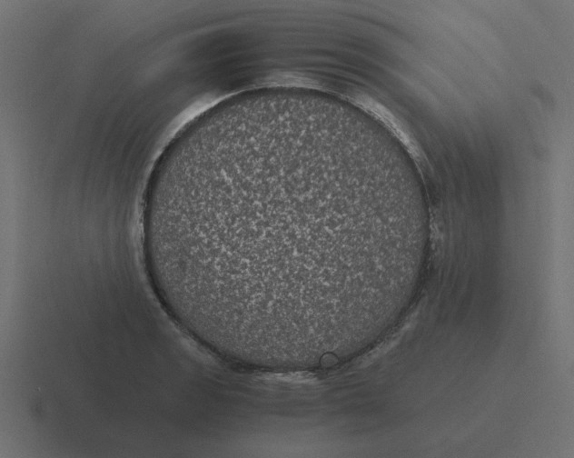 X0000116481133200912292041