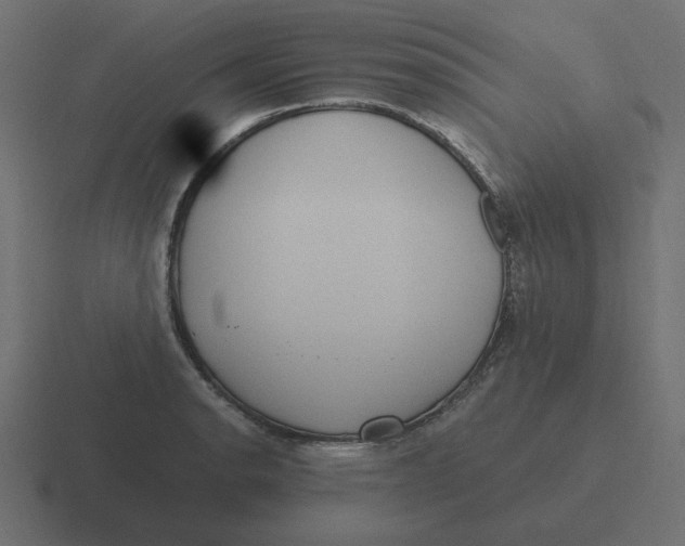 X0000116481134200912292041