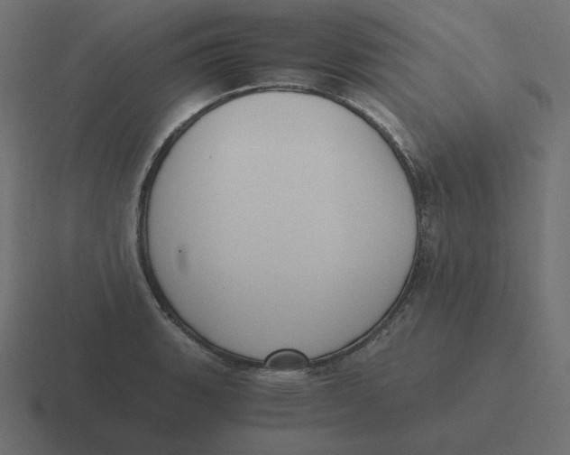 X0000116481135200912292041