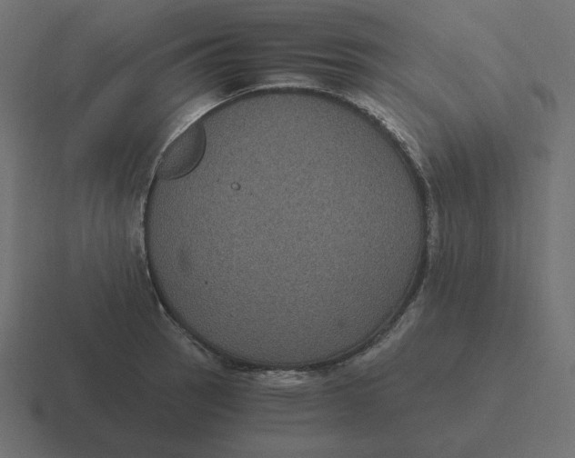 X0000116481137200912292041