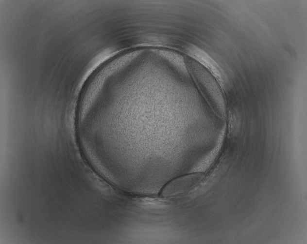 X0000116481138200912292041