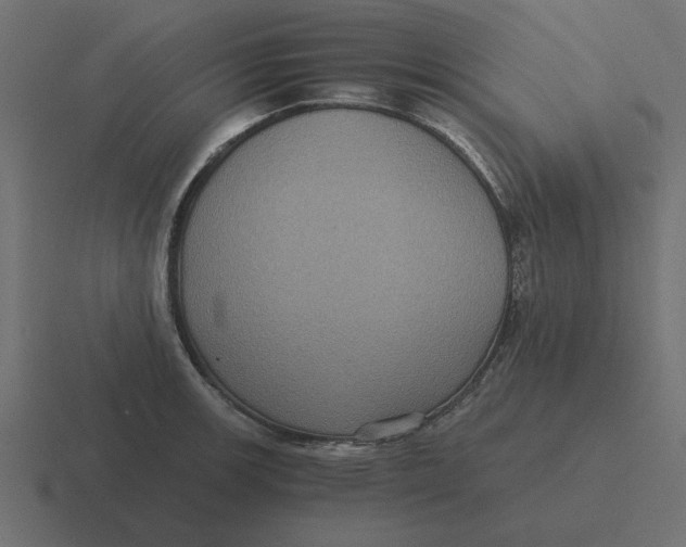 X0000116481139200912292041