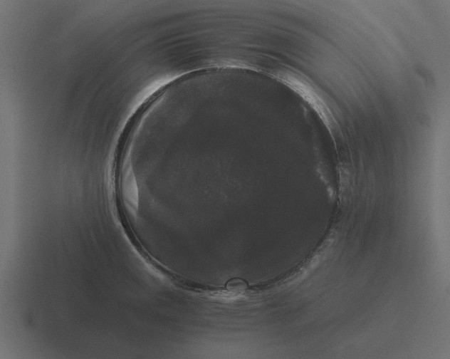 X0000116481141200912292041