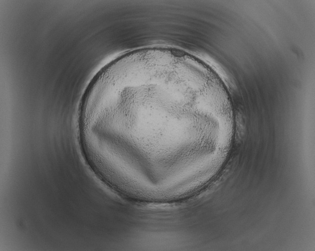 X0000116481142200912292041