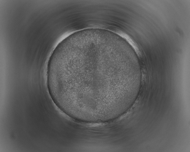 X0000116481143200912292041