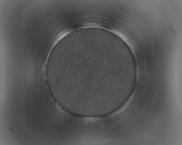 X0000116481145200912292041