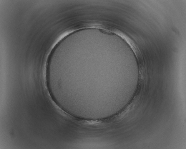 X0000116481147200912292041