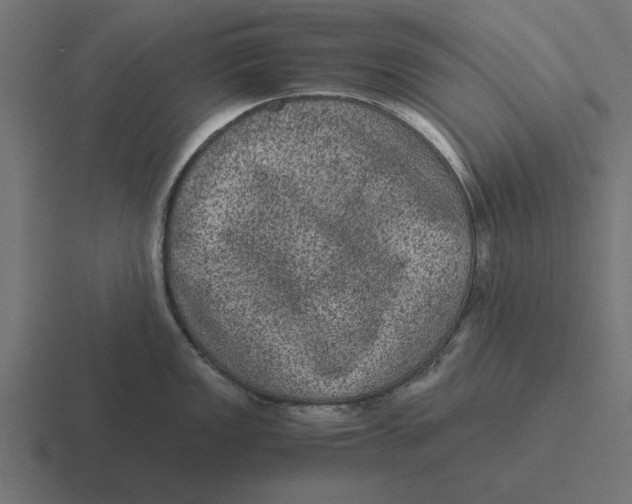 X0000116481149200912292041