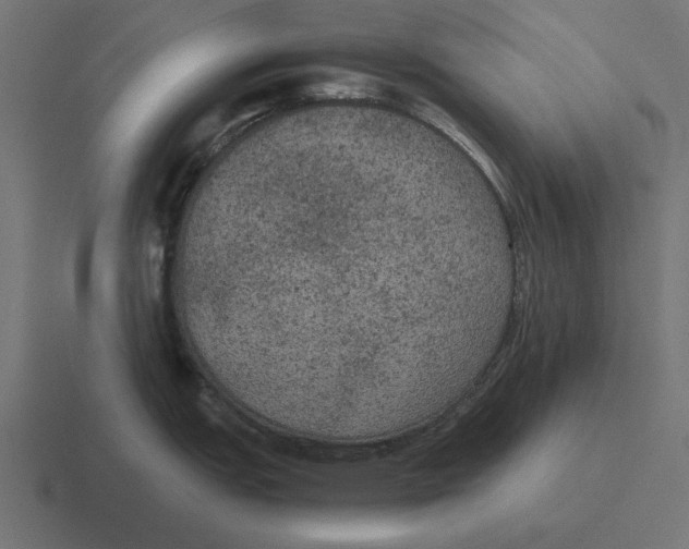 X0000116481151200912292041