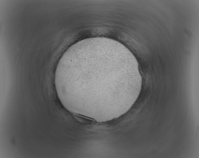 X0000116481153200912292040