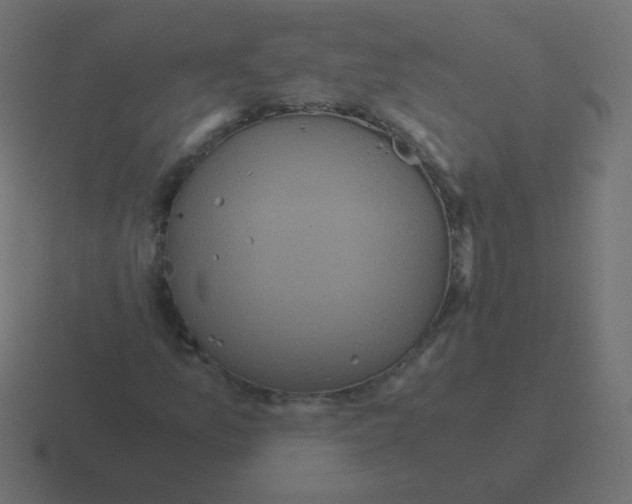 X0000116481157200912292040