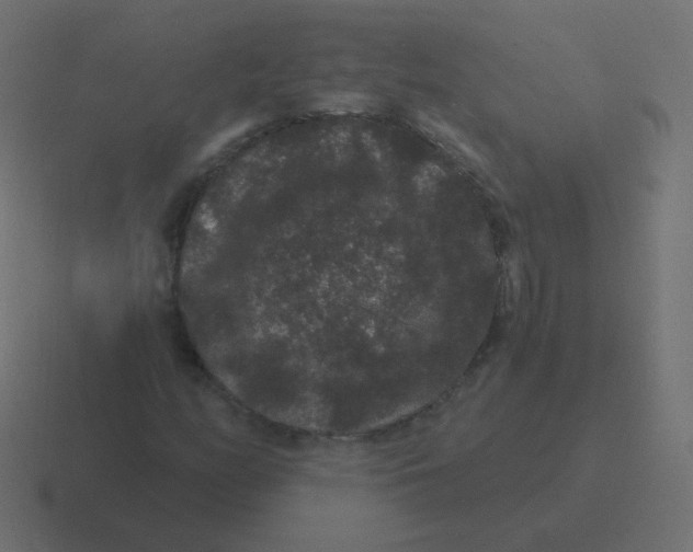 X0000116481158200912292040