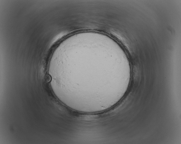 X0000116481163200912292040