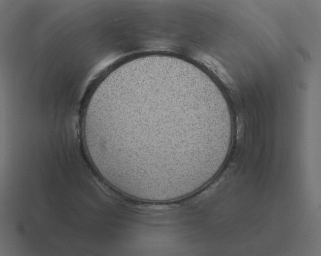 X0000116481164200912292040