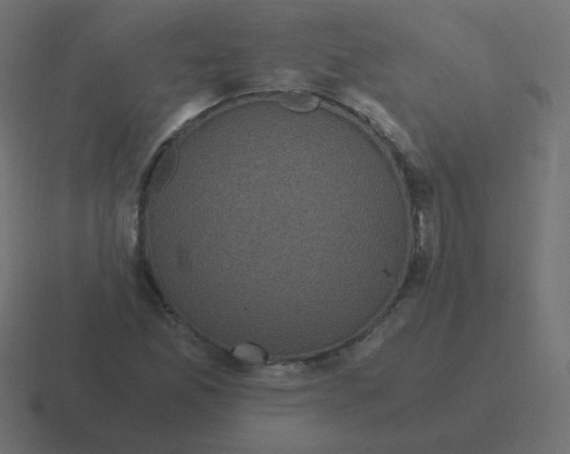 X0000116481165200912292040