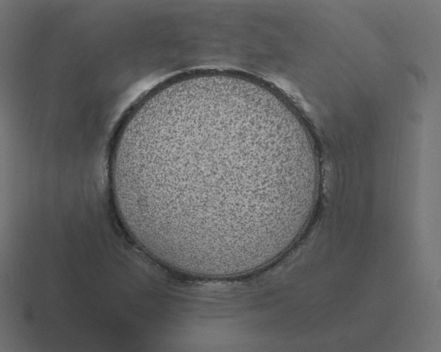 X0000116481167200912292040