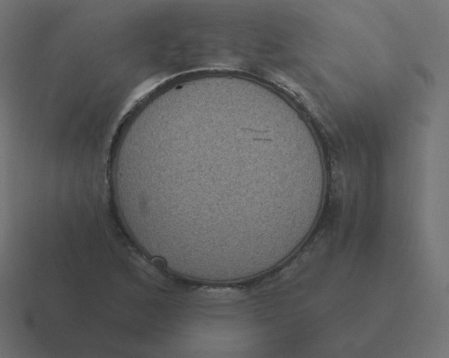 X0000116481168200912292040