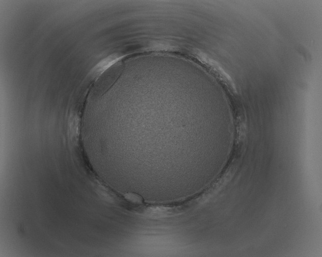 X0000116481169200912292040