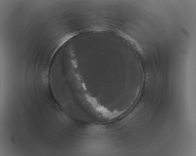 X0000116481170200912292040