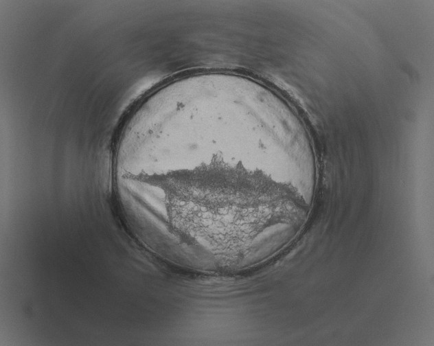 X0000116481171200912292040