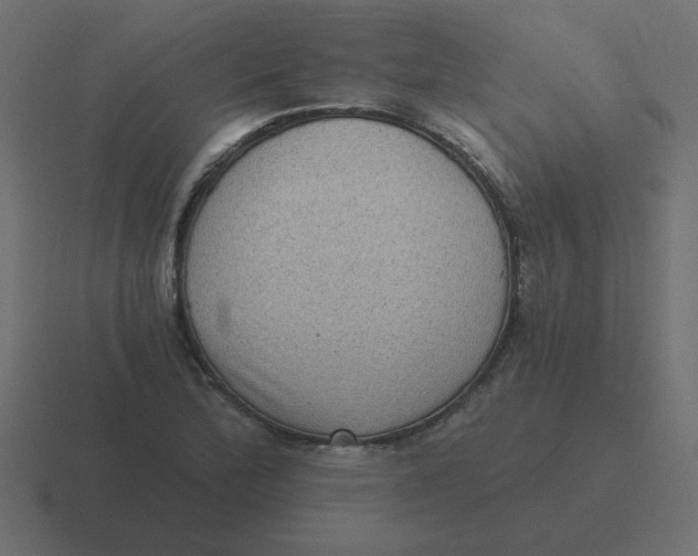 X0000116481172200912292040