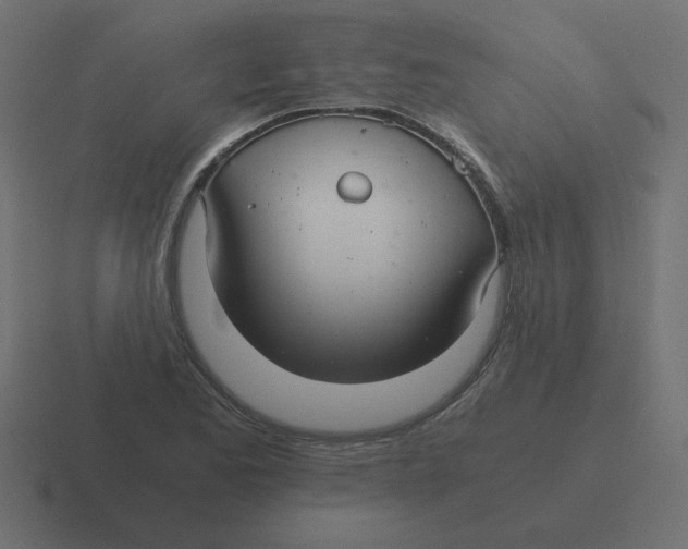 X0000116481173200912292040