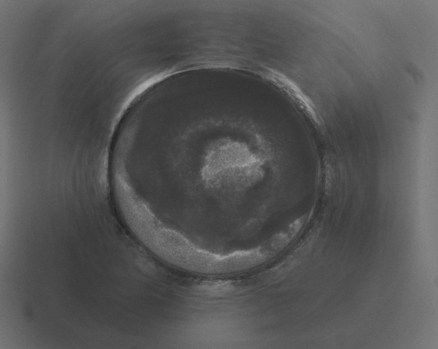 X0000116481174200912292040