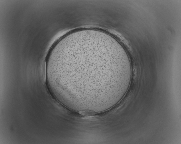 X0000116481175200912292040