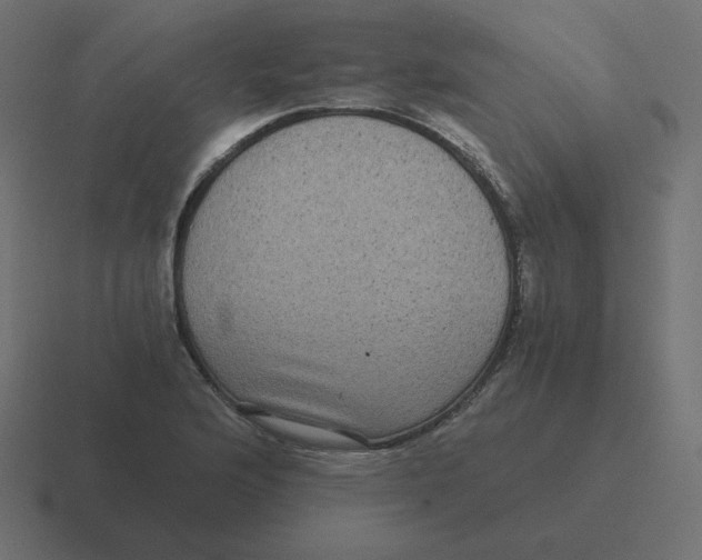 X0000116481176200912292040