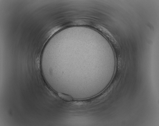 X0000116481177200912292040