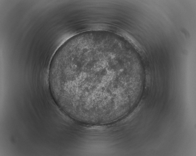 X0000116481178200912292040