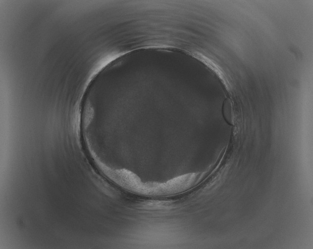 X0000116481179200912292040