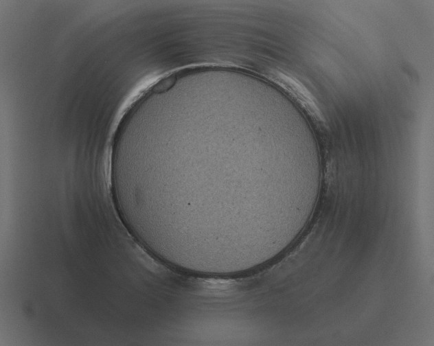 X0000116481180200912292040