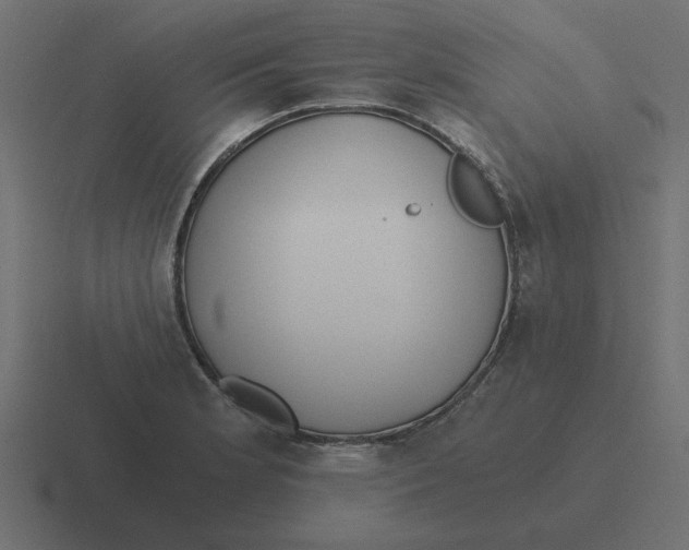 X0000116481181200912292040