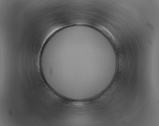 X0000116481182200912292040