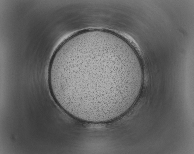 X0000116481183200912292040