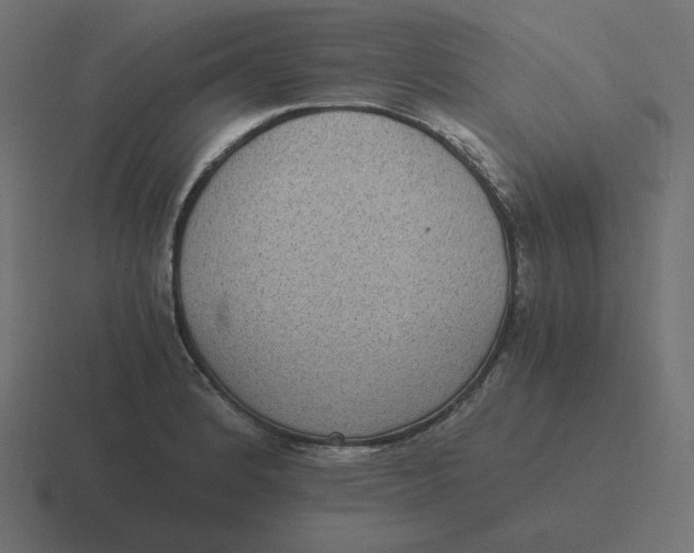 X0000116481184200912292040