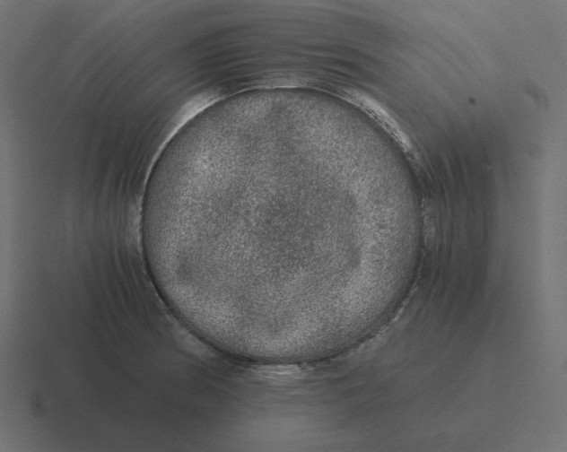 X0000116481186200912292040