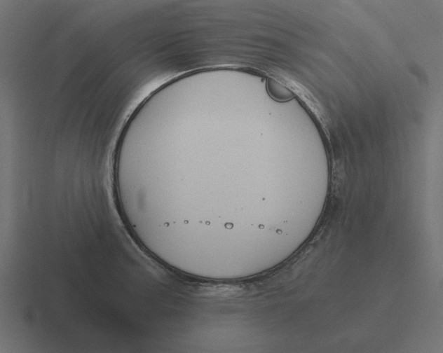 X0000116481187200912292040