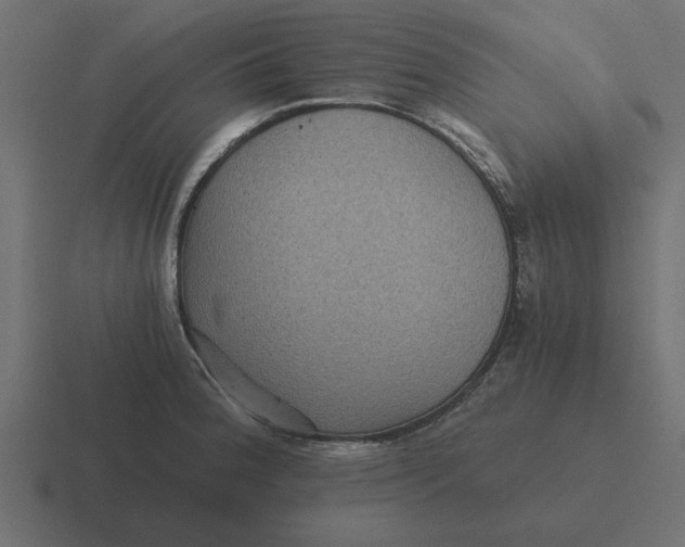 X0000116481188200912292040