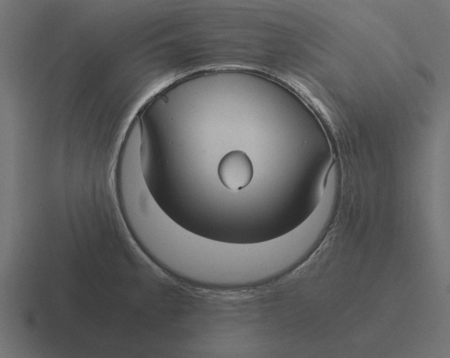 X0000116481189200912292040