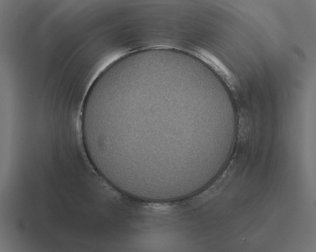 X0000116481190200912292040