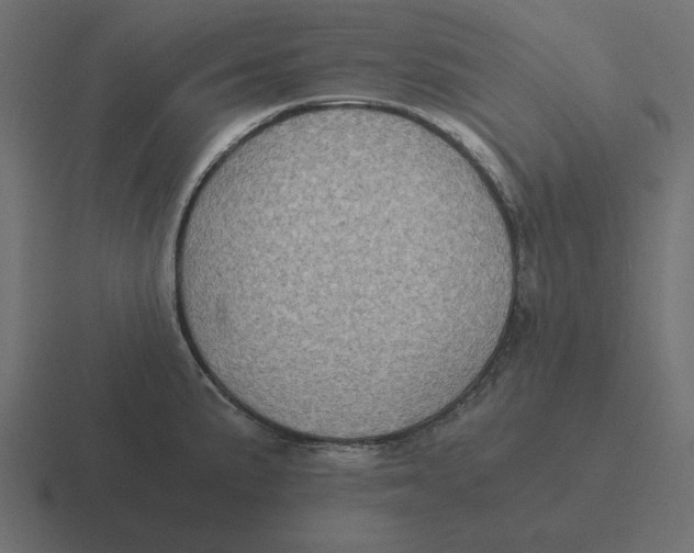 X0000116481191200912292040