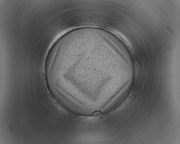 X0000116481192200912292040