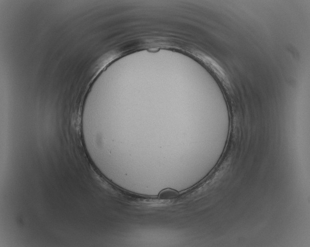 X0000116481193200912292040