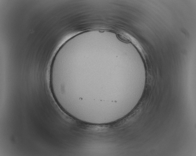 X0000116481195200912292040