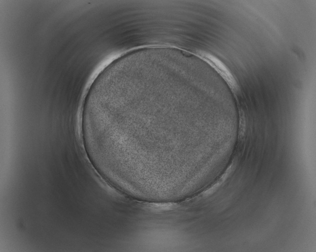 X0000116481196200912292040